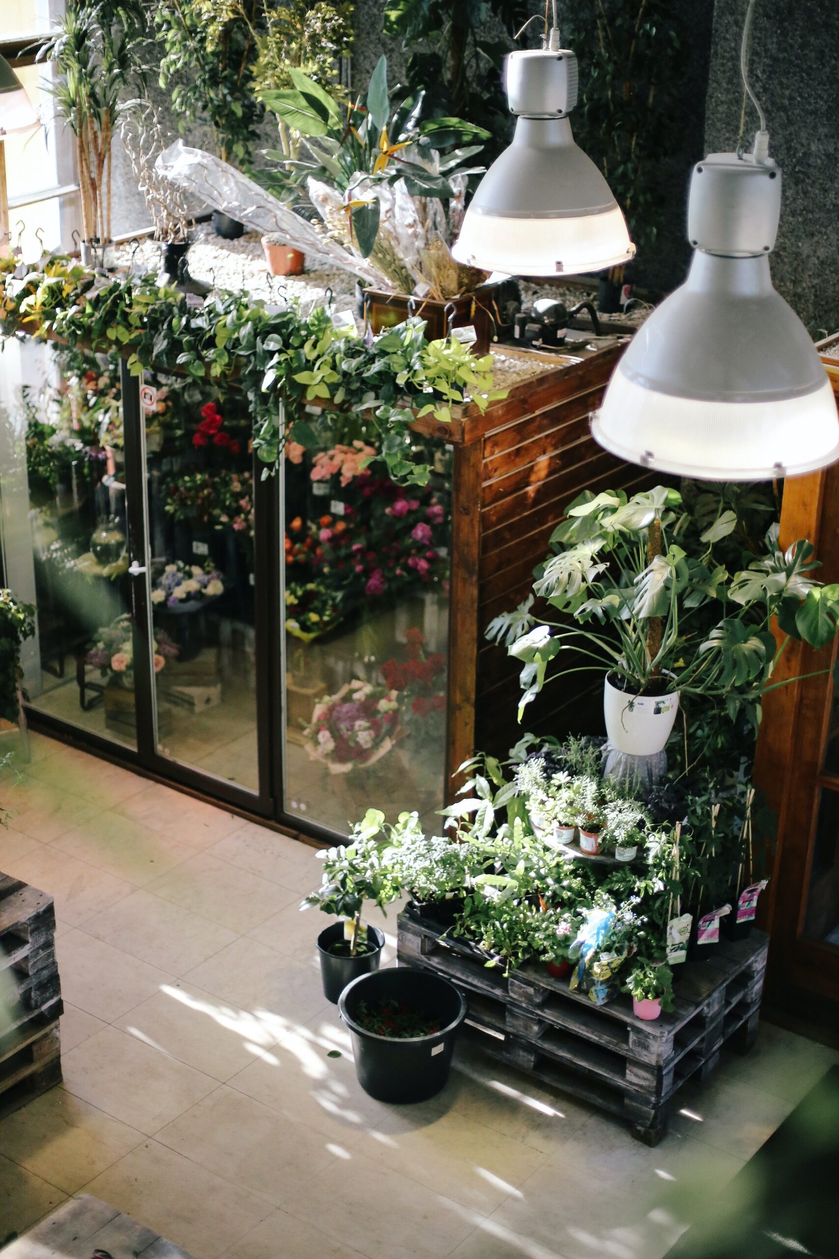 interflora gallo